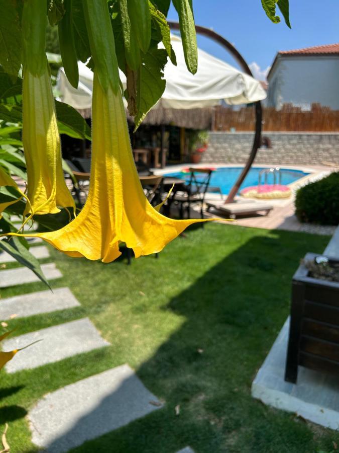 Pupa Alacati Butik Otel Çeşme Exteriér fotografie