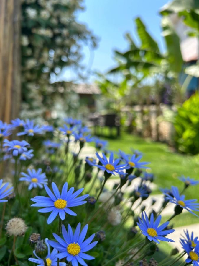 Pupa Alacati Butik Otel Çeşme Exteriér fotografie